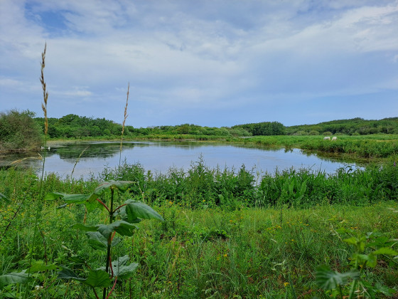 Vue depuis un belvédère