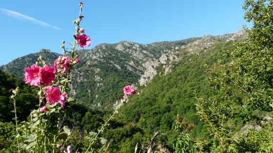 Vue depuis Valos