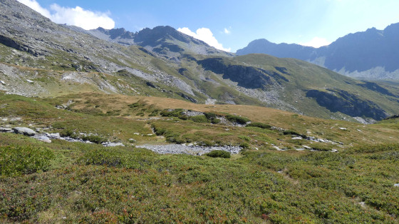 Vue des alpages
