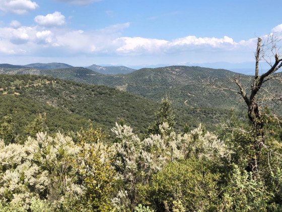 Vue des Alpes enneigées depuis le sommet du Deffend