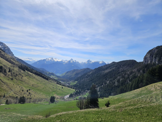 Vue des Aravis depuis les Alpages