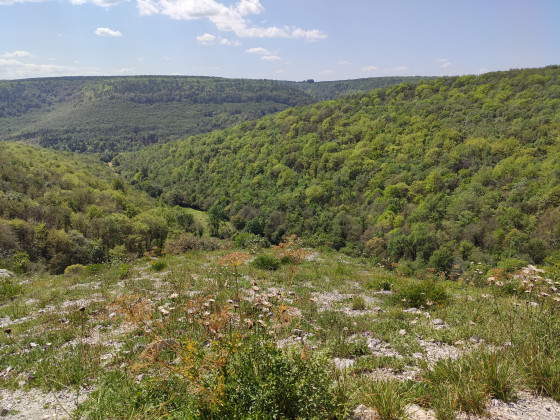 Vue des Balcons du Suzon