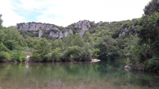 Vue des berges de l\'Hérault