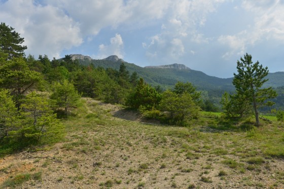 vue des crêtes d'en bas