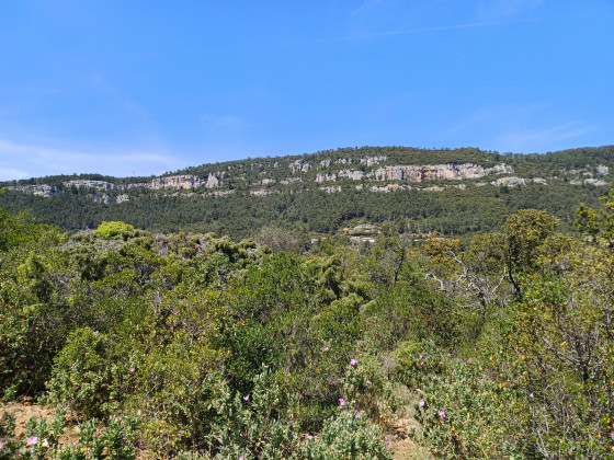 vue des falaises du Bau Rouge