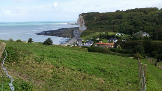 Vue des Grandes Dalles à marée basse Vue des Grandes Dalles à marée basse