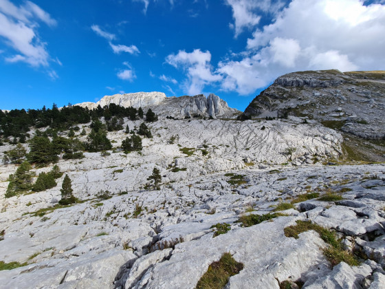 Vue des lapiaz de la Grande Combe