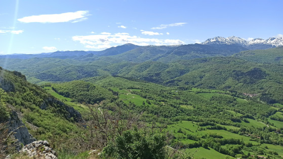 Vue des Pyrénées depuis la \