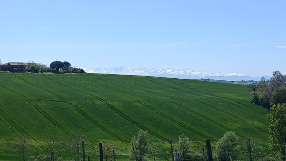 Vue des Pyrénées depuis les vignes