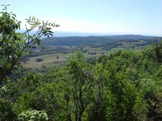 Vue droite du haut de la falaise