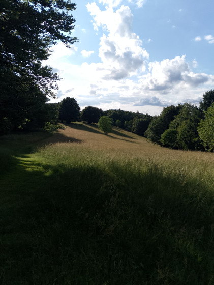 Vue du baerenkopf