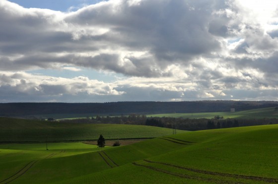 Vue du Bois de l'Etoile
