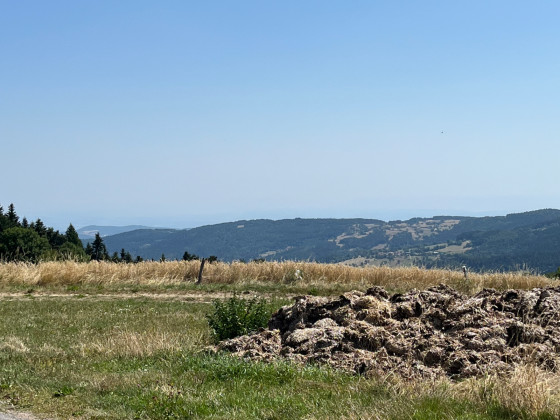 Vue du bruand sur les Alpes