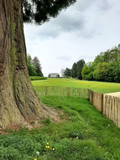 Vue du château en remontant de l\'étang