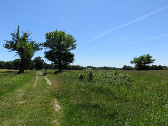 Vue du chemin après la barrière