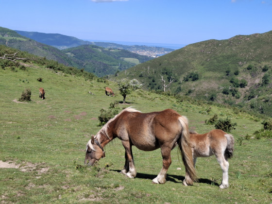 Vue du Col de Azkope