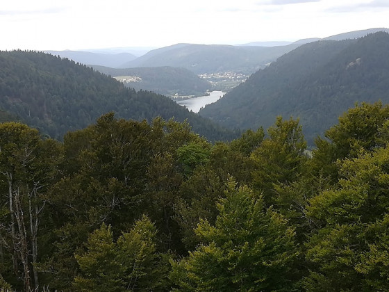 Vue du Col de Thiaville sur le lac de Longemer