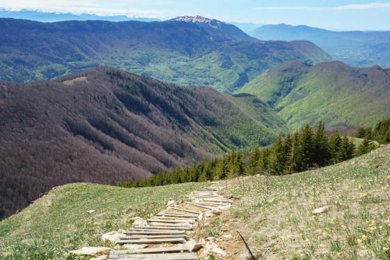 Vue du Crêt de Chalam