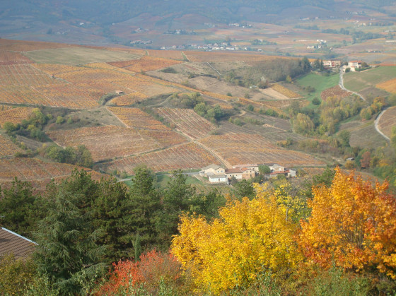 vue du crêt de Charnat sur le nord du beaujolais