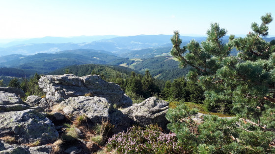 Vue du Cr&ecirc;t de la Ch&egrave;vre