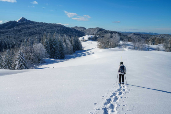 Vue du Cr&ecirc;t du Nerbier en janvier
