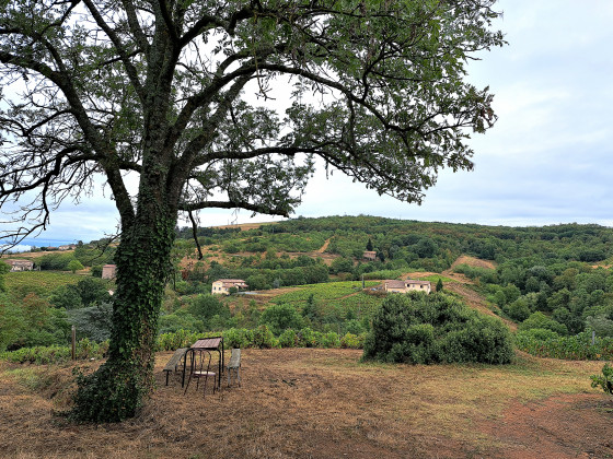 vue du Cr&ecirc;t du Ris