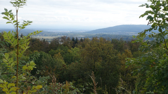vue du fort Dorsner au loin Belfort et le Salbert