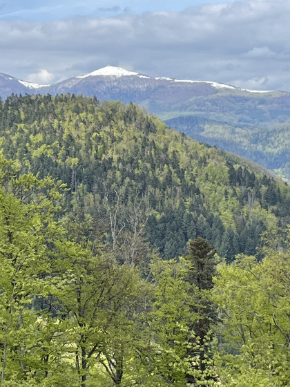 Vue du Grand Ballon légèrement enneigé