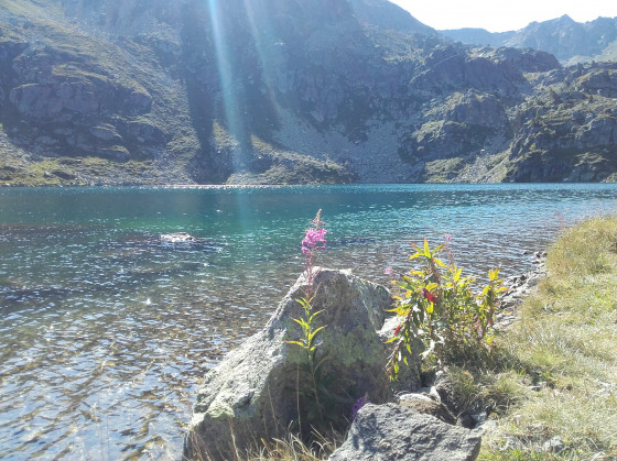 Vue du grand étang
