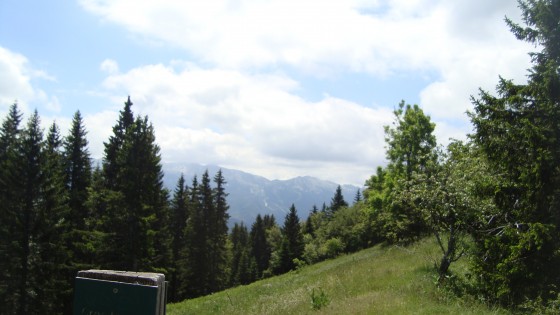 vue du gros martel