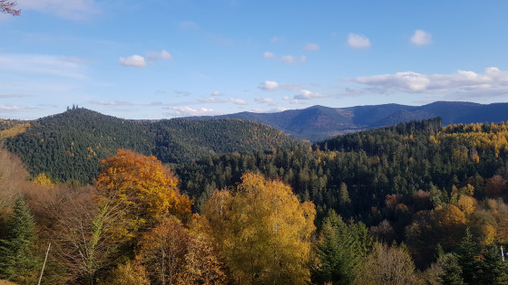 Vue du haut du chateau de Salm