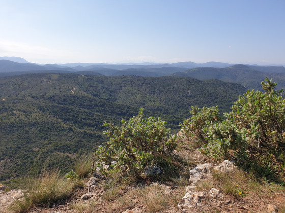 Vue du haut du mont Major