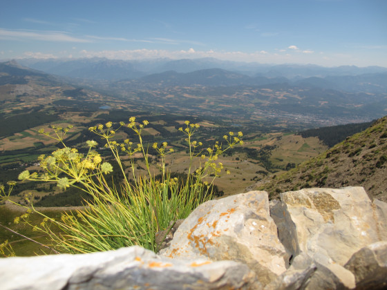 Vue du haut du pic de Gleize