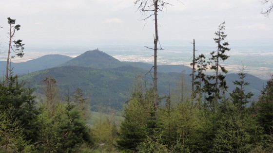 Vue du Haut-Koenisgbourg