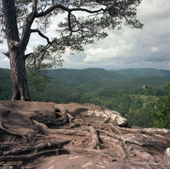 Vue du Krappenfels