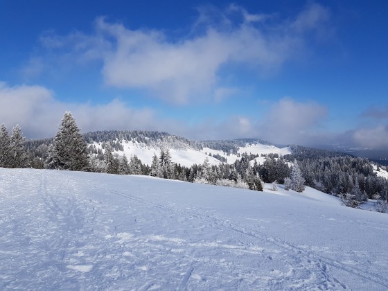 Vue du Mont Sala