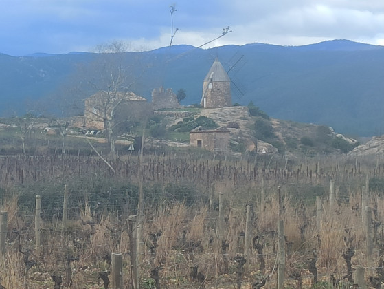 Vue du Moulin Saint-Chinian