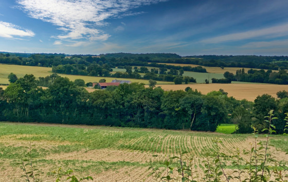 Vue du paysage bocager
