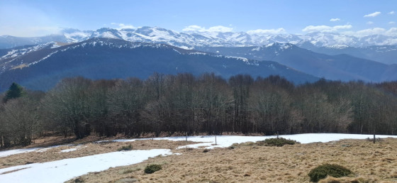 Vue du Pic de Razels