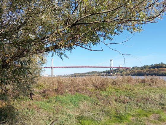 Vue du Pont d'Aquitaine depuis le Parc de Bacalan