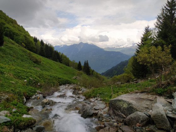 vue du pont