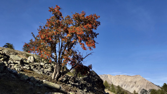 Vue du poteau indicateur des chalets de Buffère