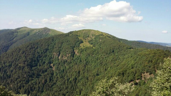 Vue du Rainkopf