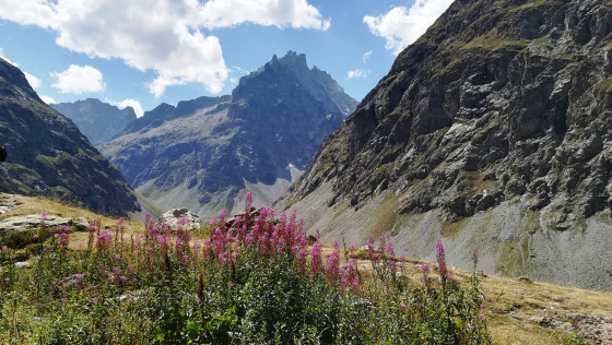 Vue du refuge