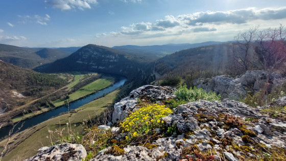 Vue du rocher