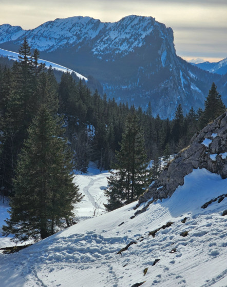 Vue du sentier d\'en haut