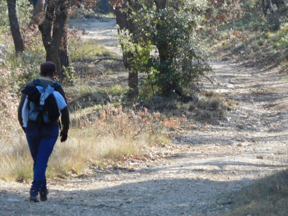 Vue du sentier