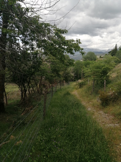 Vue du sentier
