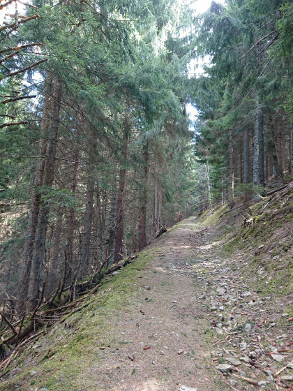 Vue du sentier