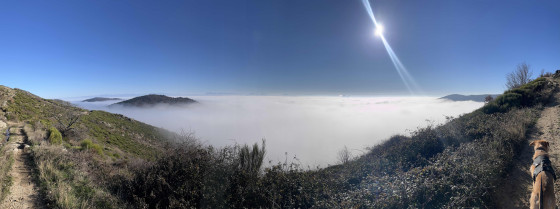 Vue du serre du gruas